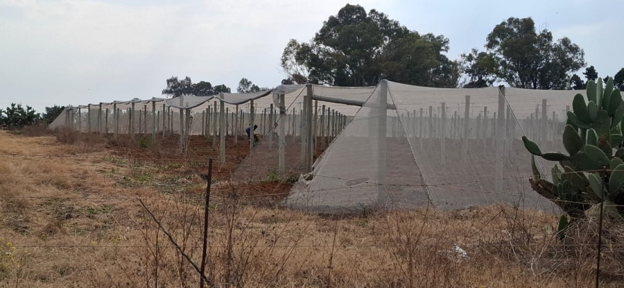 Commercial Property for Sale in Bainsvlei Free State